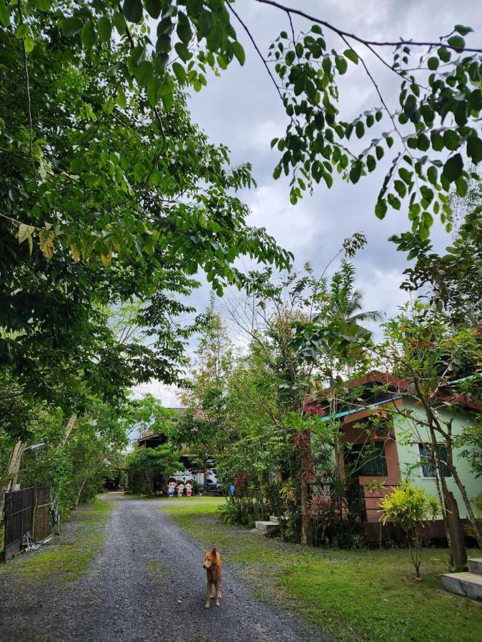 苏安卡法度假村 素叻他尼 外观 照片